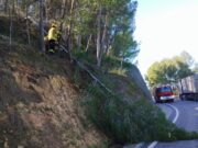 Els Bombers actuen al carrer Gènova de Lloret per la caiguda d’arbres