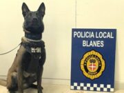 La Policia Local de Blanes realitza tres deteccions en una mateixa nit amb la seva unitat K-9