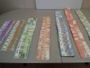 Operació antidroga a Lloret: 350 plantes i milers d’euros en un narcopis