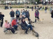 Blanes conclou amb èxit la seva prova pilot de platja per a gossos