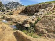 Blanes descobreix un edifici multicompartimentat en les excavacions del jaciment romà de Blandae