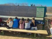 Més de 300 escolars de Blanes exploren el Valor Ecològic del Delta de la Tordera