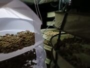 Mesos de vigilància acaben amb una gran operació antidroga a Lloret