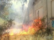 Caça al piròman a Blanes: arrestat després d’un foc a l’antiga SAFA