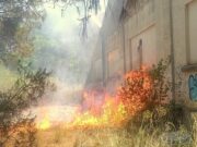 Detenció del presumpte autor d’un incendi a l’antiga panificadora de Blanes