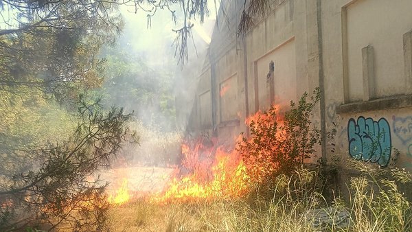 noticia_1780845122.jpg
