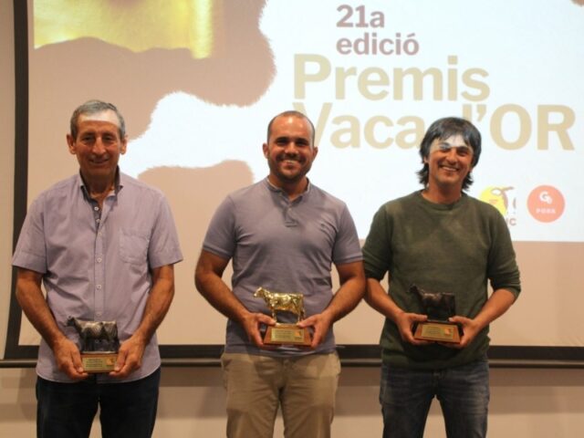 noticia_1781256280.jpg