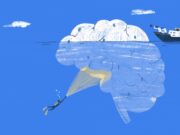 Com el cervell ajuda a entendre el metabolisme i la infertilitat