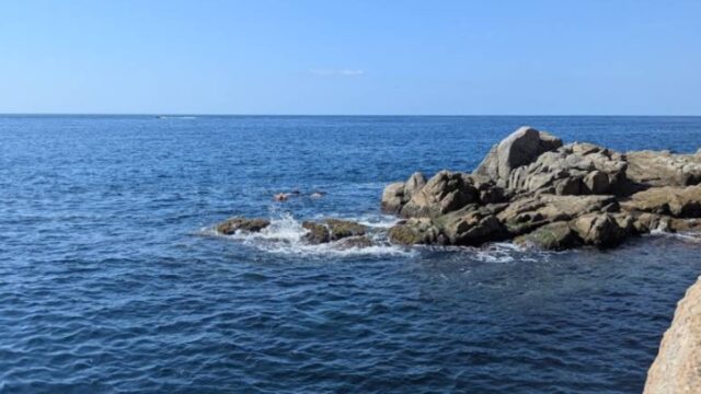Imatge de la cala d'es codolar (Costa Brava)
