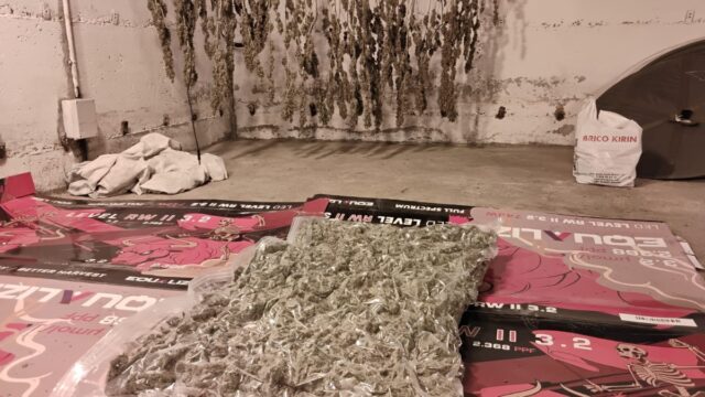 Imatge del material intervingut en una plantació de marihuana localitzada a Vidreres (Mossos d'Esquadra)